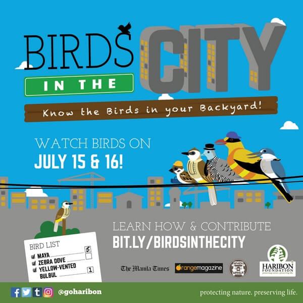 Birds in the city poster - hi res (2)