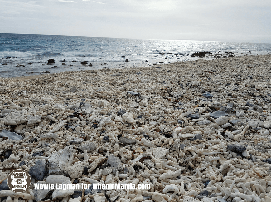 Cebu adventure pebbles and corals