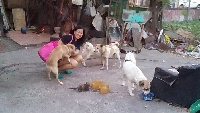 14 Dogs and 5 Cats Guarding Sta. Mesa Lot will Soon be Homeless Unless We Do Something 1 Marie Mendoza Garcia Photos - Sta Mesa Guard Dogs and Cats 7