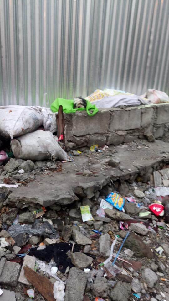 2 Heartbreaking Stories of Helpless Animals Stuffed Inside a Bag and