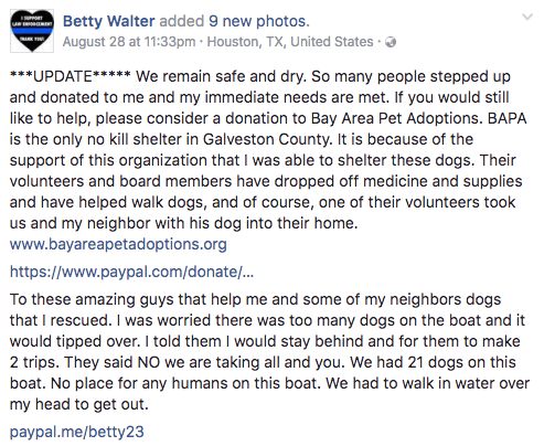 INSPIRING: These good guys saved 21 dogs from the flood using a boat 1 21 dogs saved 1