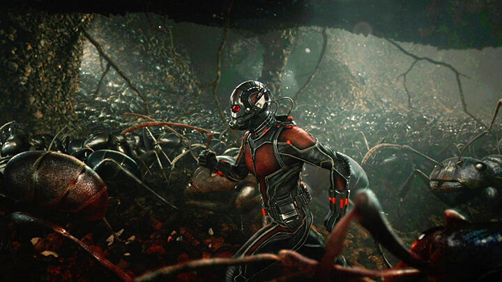 Ant-Man Sequel