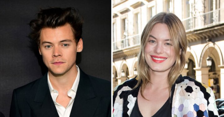 Harry Styles Camille Rowe