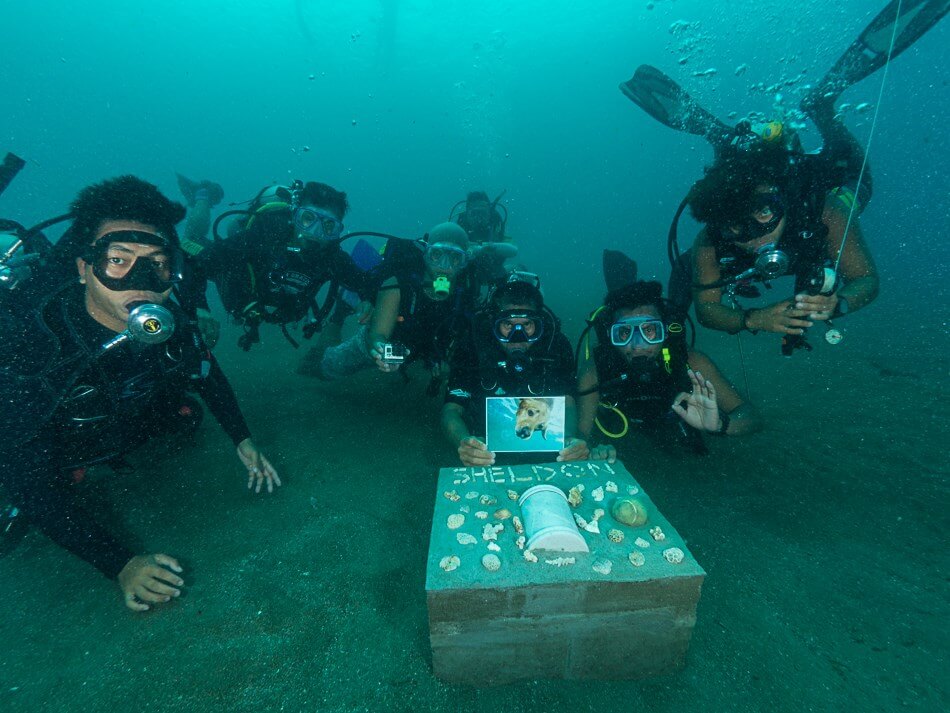Underwater Memorial of Sheldon the Diving Dog of Anilao