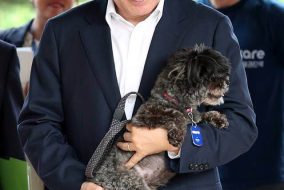South Korea President Adopts a Rescued Dog