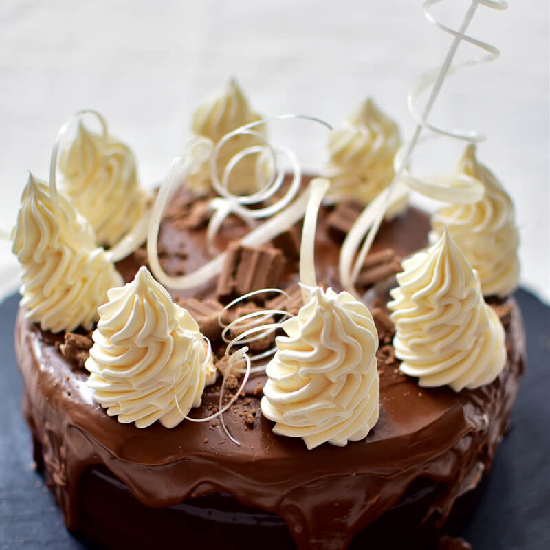 Vikings NE_Chocnut Chocolate Cake