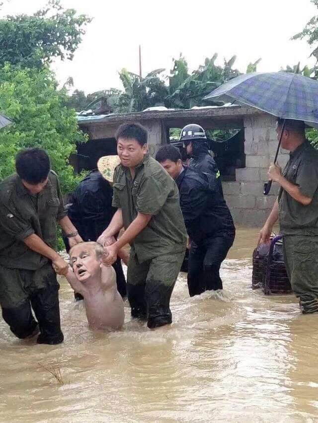 happy pig 5