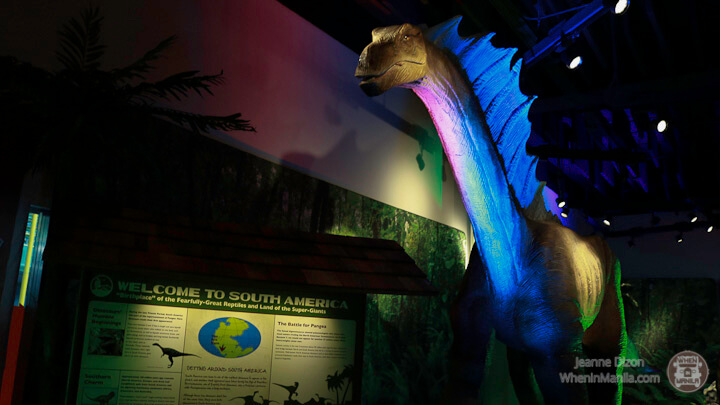 Dinosaurs Around the world mind museum 18 170902
