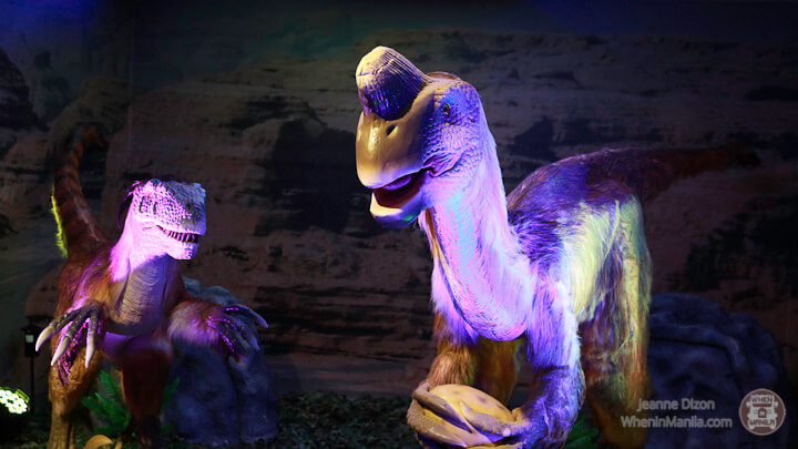 Dinosaurs Around the world mind museum 26 170902