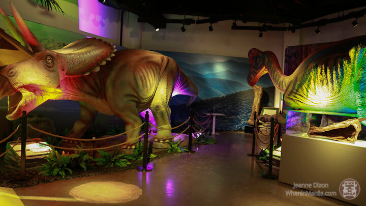 Dinosaurs Around the world mind museum 29 170902