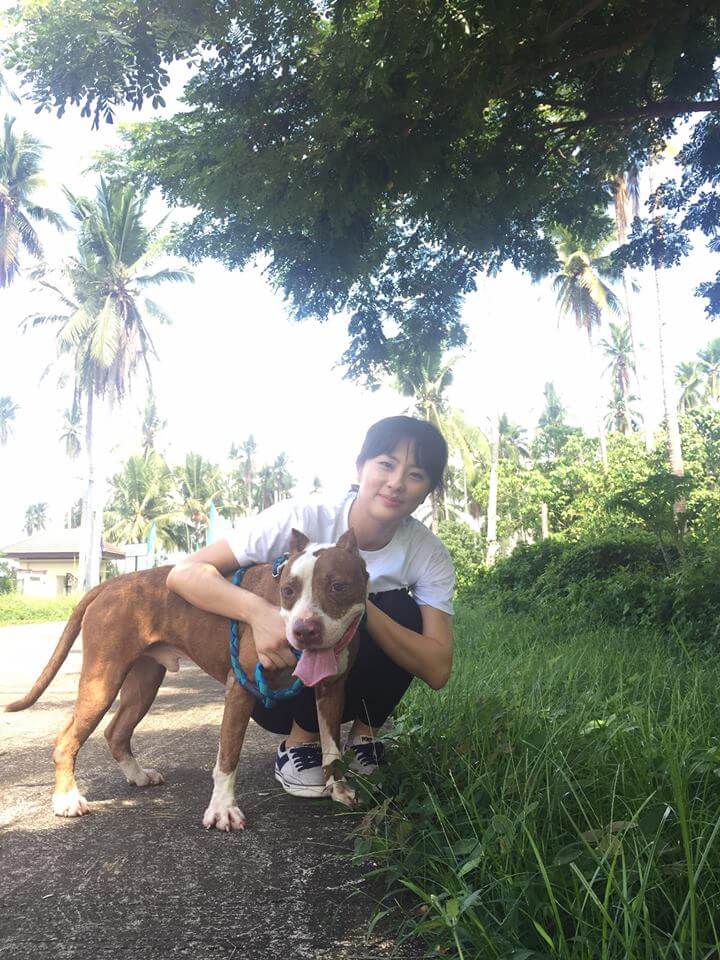 Jinri Park and Benjo at the Laguna Pit Bull Sanctuary