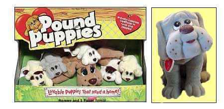 Skool Days POUND PUPPIES