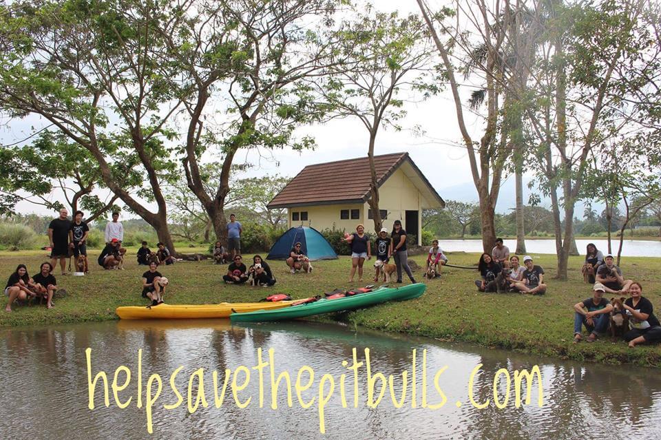 Laguna Pit Bulls Sanctuary