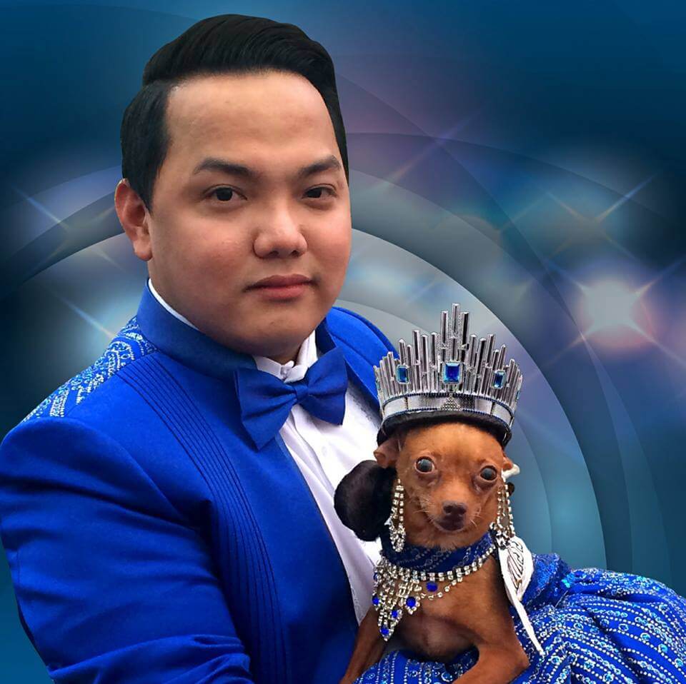 beauty Queen Ayen adopted chihuahua dog