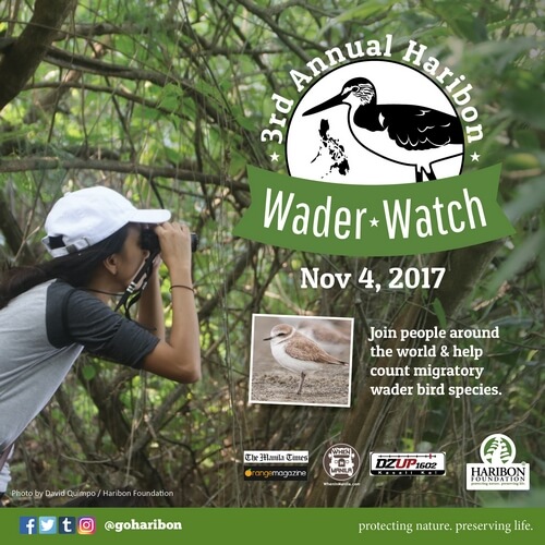 Wader Watch 8