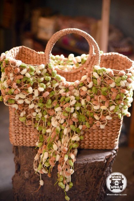 Charming Finds in Laguna : Sa Pantalan - Byaheng Pangkatagalugan Food and Heritage Festival 14 when in manila teds sta cruz laguna products food sa pantalan 3013 e1508108598918