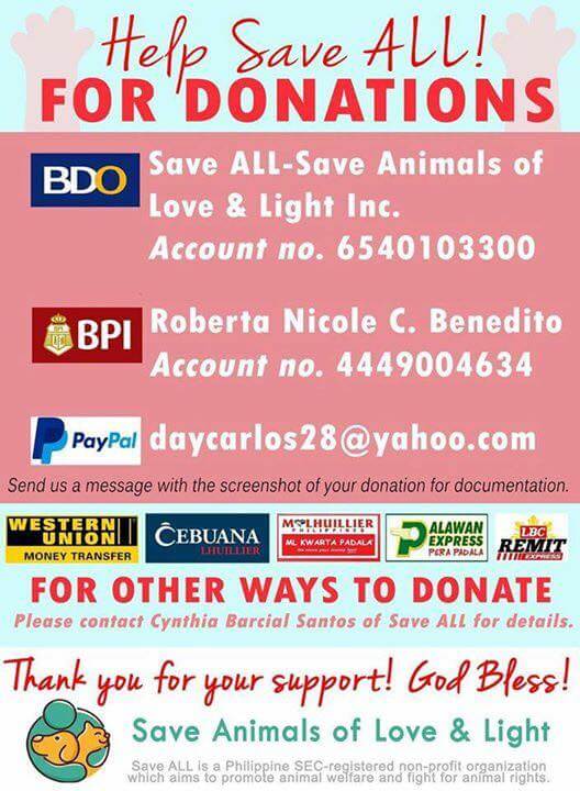 URGENT: Frantic Pet Lovers Beg for Help to Save Five Pups from Death 4 How-do-Donate-to-Save-All-animal-rescue-group-in-the-Philippines