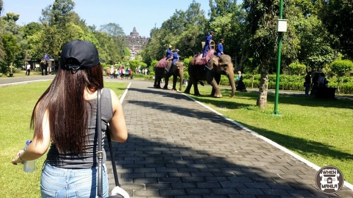 6 Ways Traveling Taught Me More About Life 5 wim2