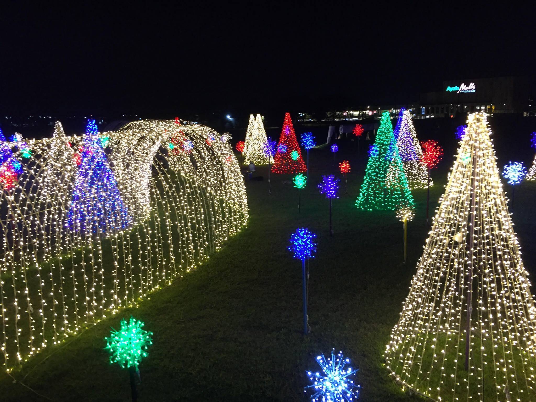 3 Nuvali Magical Field of Lights