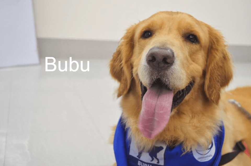Bubu-Ateneos-newest-guidance-counselor