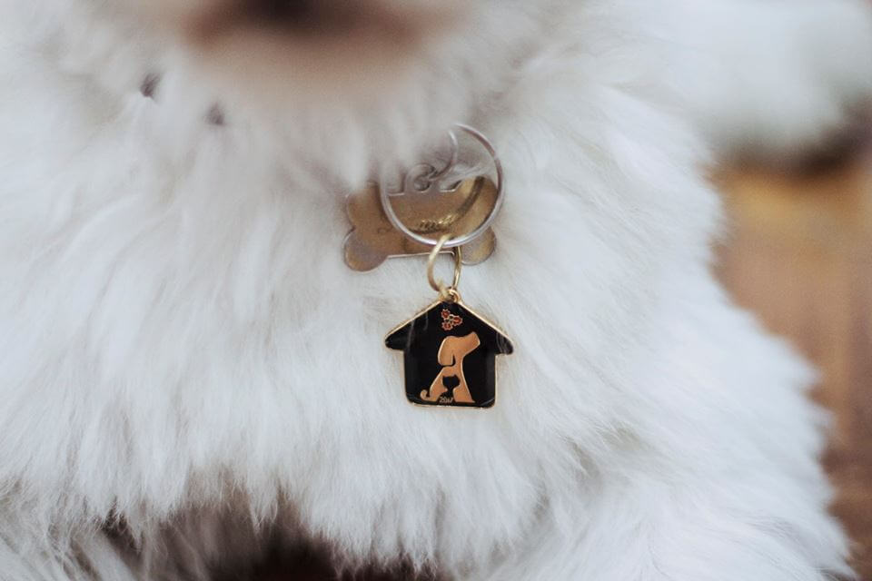 6 Reasons You Need This Limited-Edition Pet Pendant in Your Life 8 Pet-Warehouse-Pet-Pendant-closeup