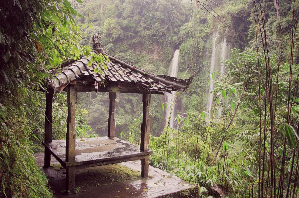 Sekumpul Waterfall Trekking North Bali 6310