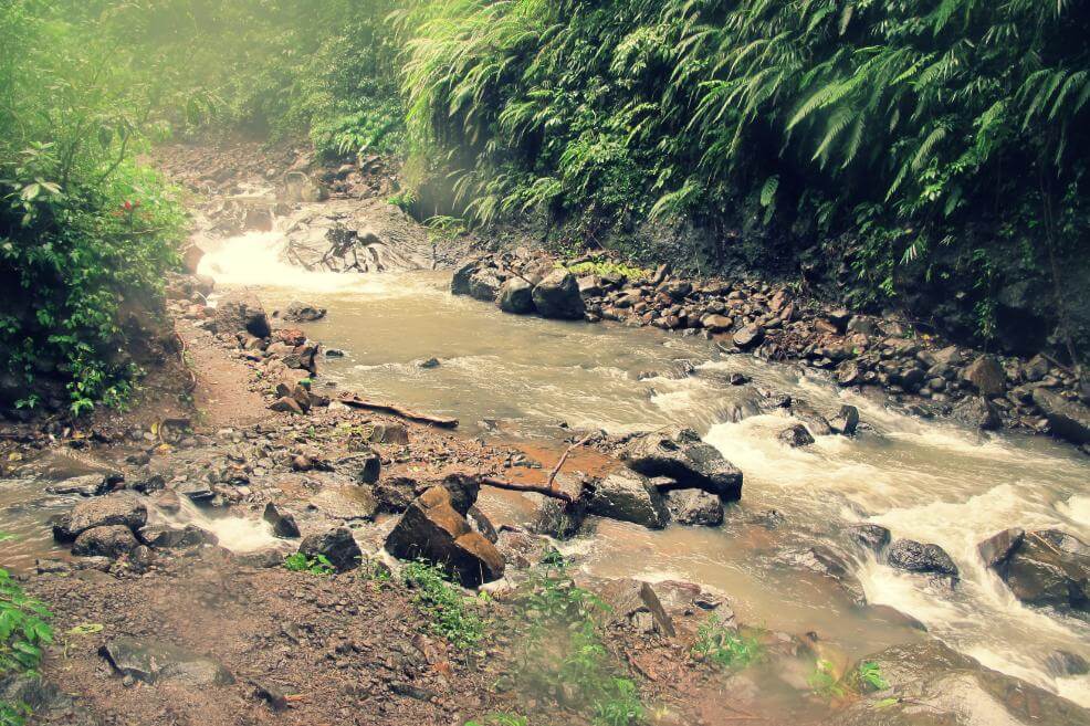 Sekumpul Waterfall Trekking North Bali 6363