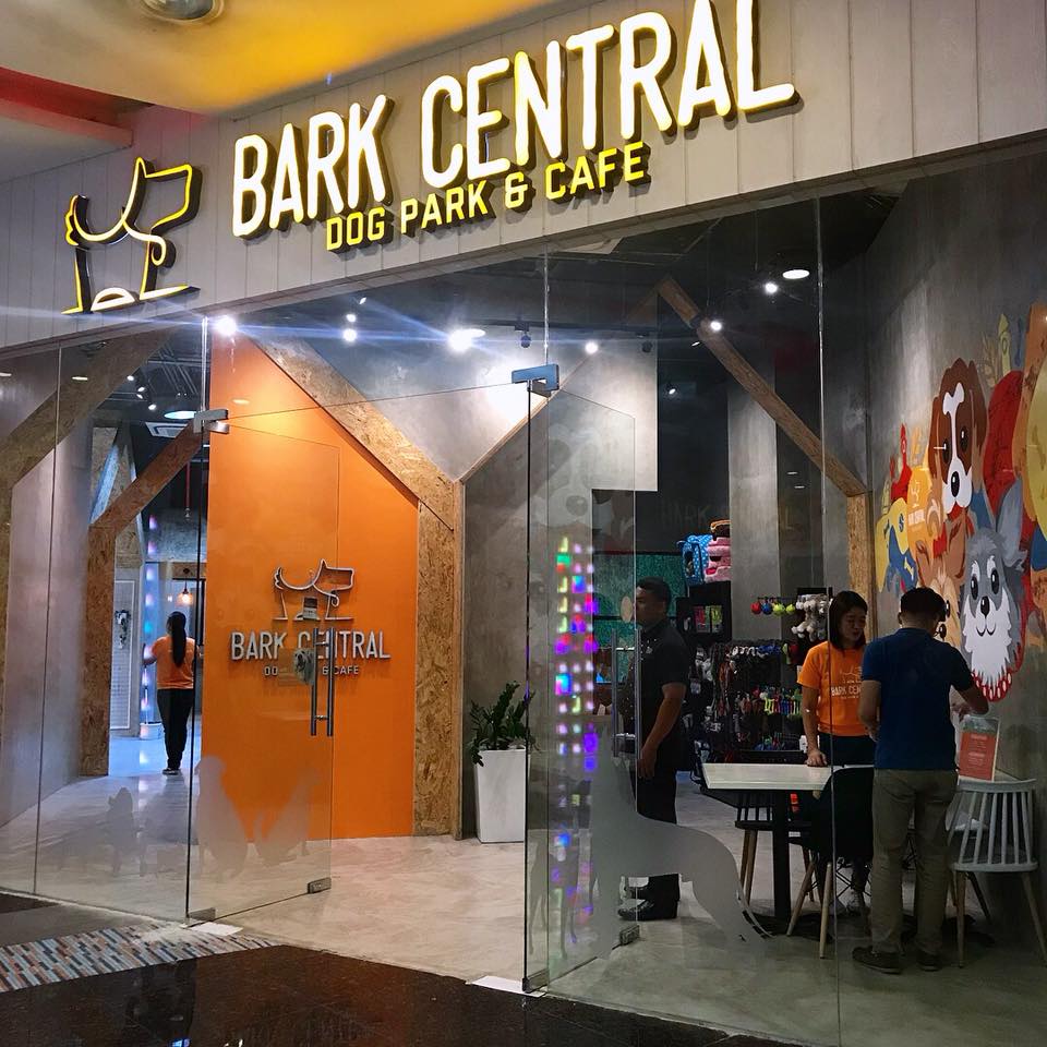 Bark Central 1