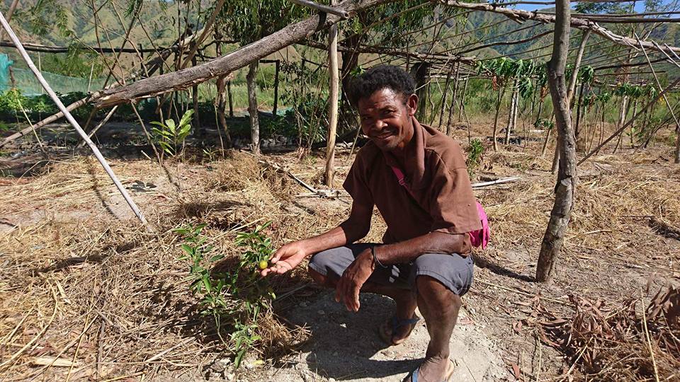 Give your calamansi seeds to help aeta villages