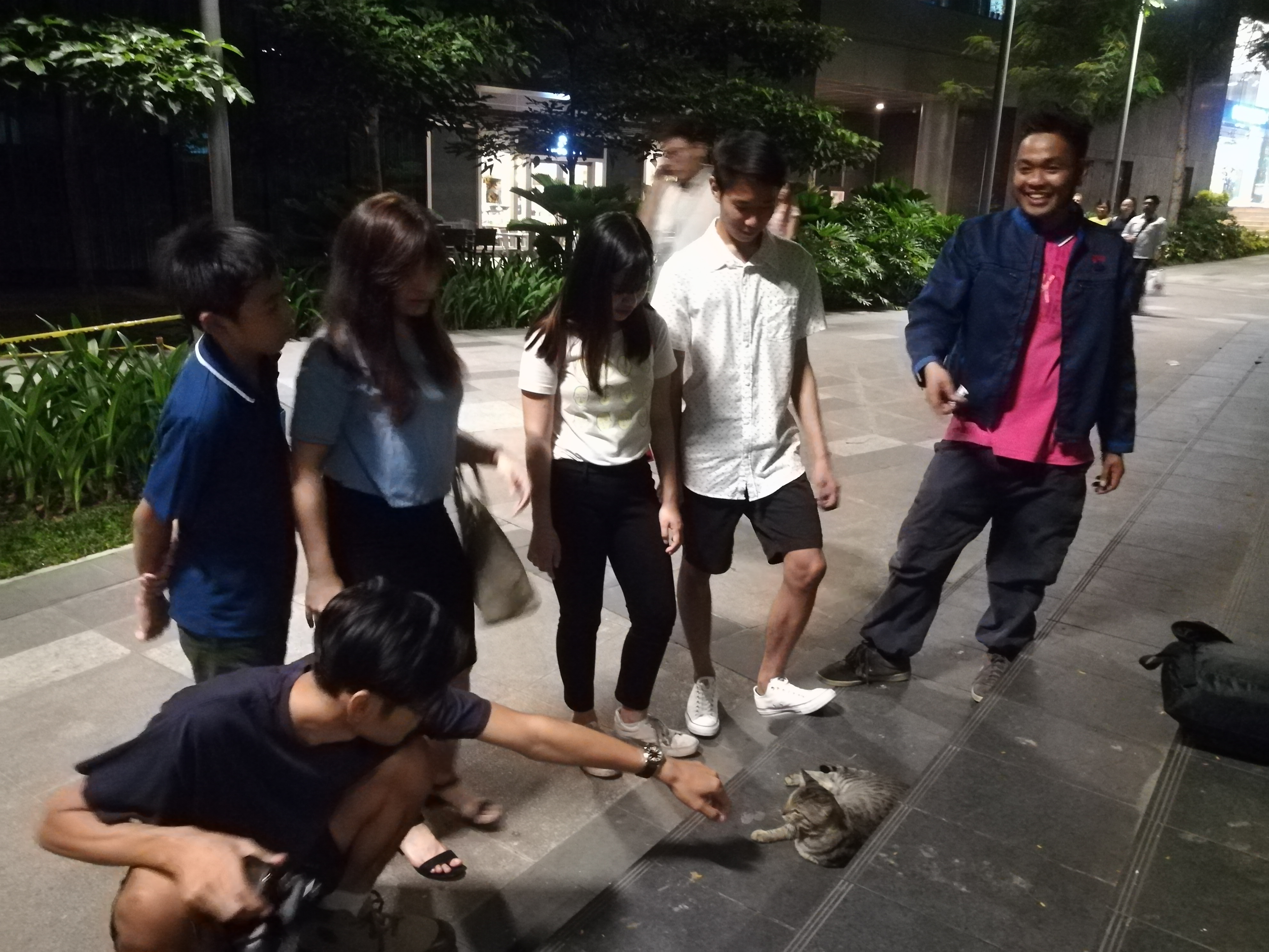 Mr. Ochi, the mystery man who has been feeding and taking care of the BGC cats