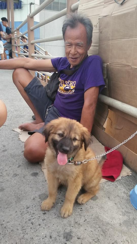 Lolo Phil with Puppy Dogman - Homeless Lolo with sick puppy at Fairview Bridge in Quezon City