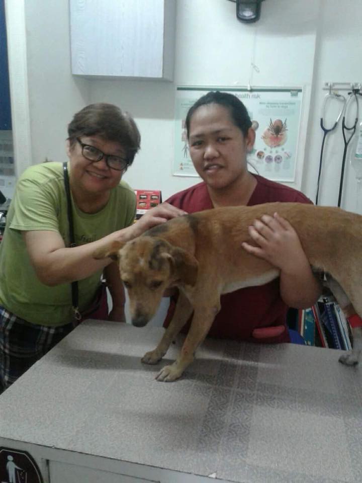 Sugar, the loyal Cubao dog , is now rescued
