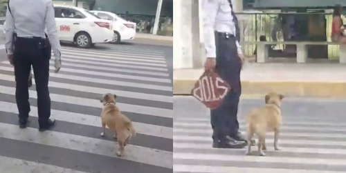 Crossing The Street