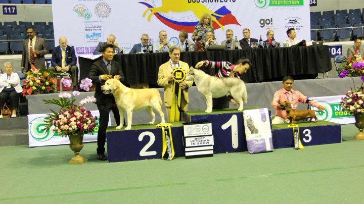 Philippine-Circuit-2018-dog-show
