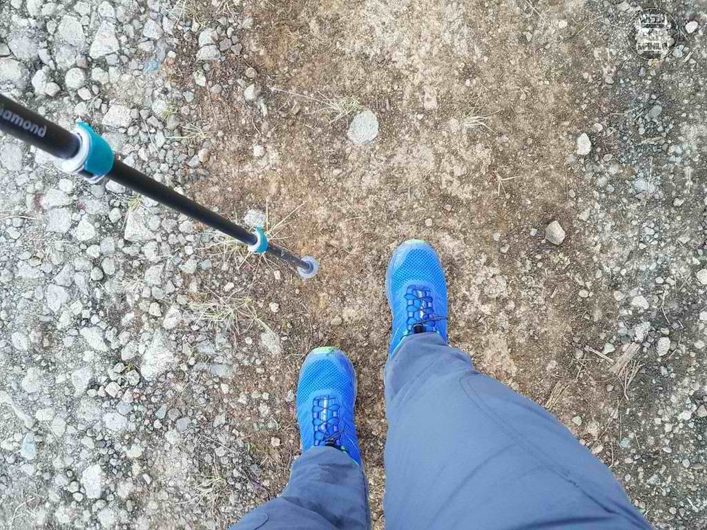 Salomon Sense Pro Max 006