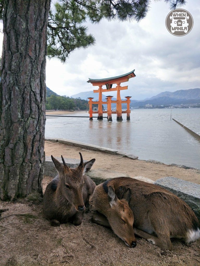 hiroshima japan 8