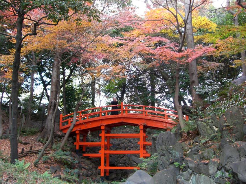 garden koishikawa tokyo 2