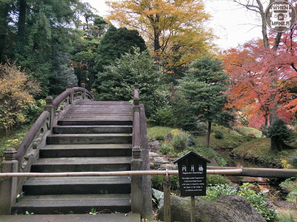 garden koishikawa tokyo 4