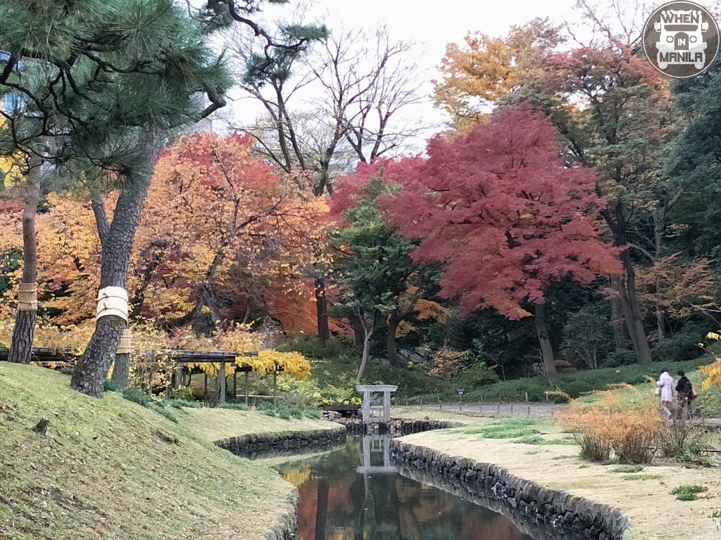 garden koishikawa tokyo 5