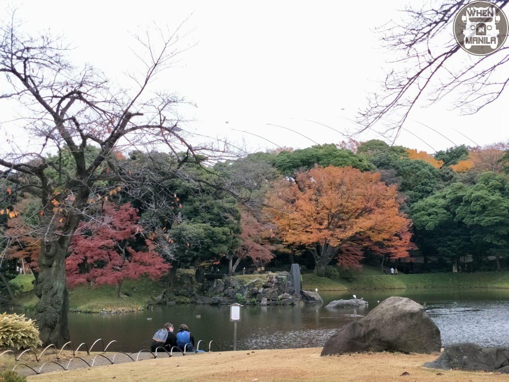 garden koishikawa tokyo 6
