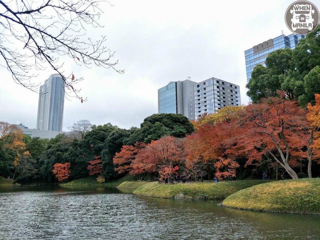 garden koishikawa tokyo 7