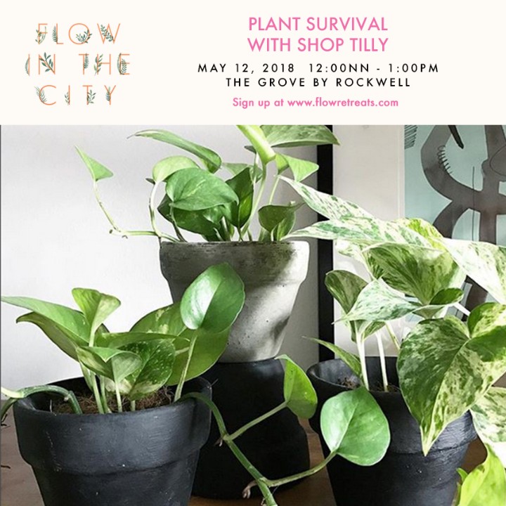 Plant Survival with Shop Tilly IG