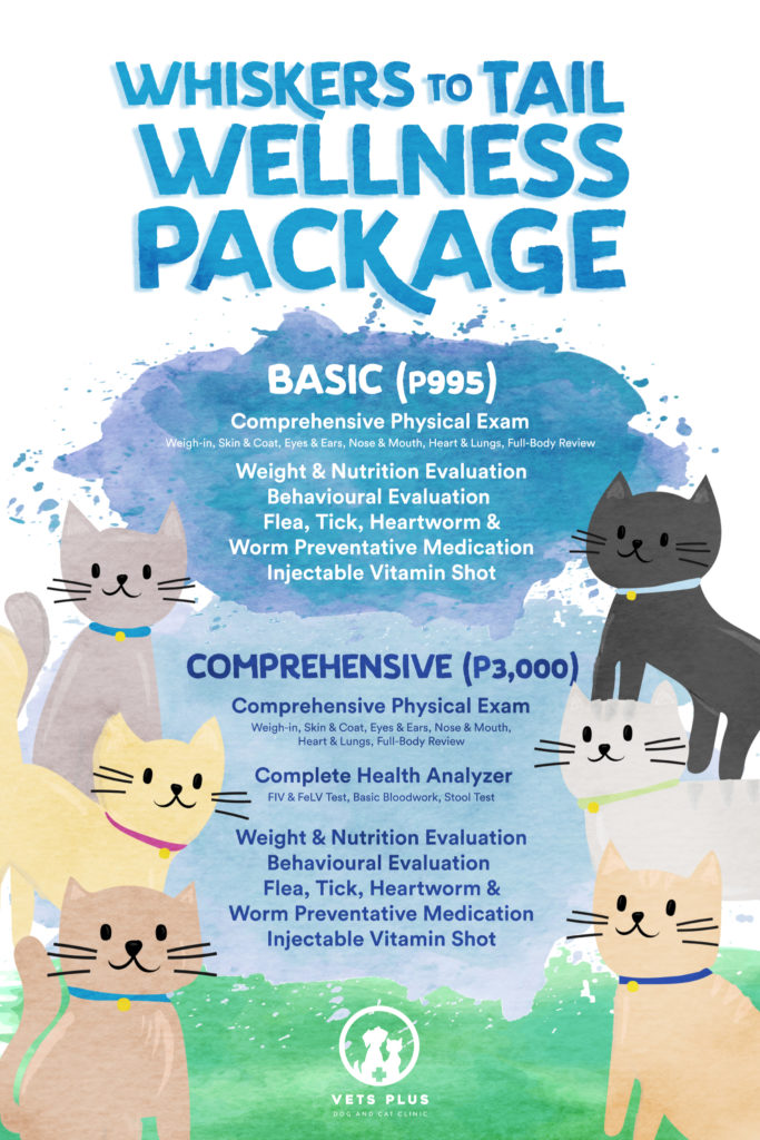 Whiskers to Tail Wellness Package Vets Plus