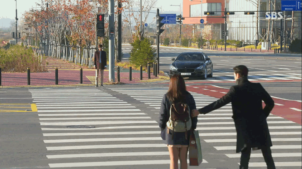8 Kinds of Pedestrians 6