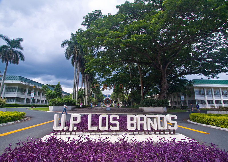 Los Banos Banned Plastic 10 Years Ago - Here's What We Can Learn From Them 2 UP Los Banos Gate