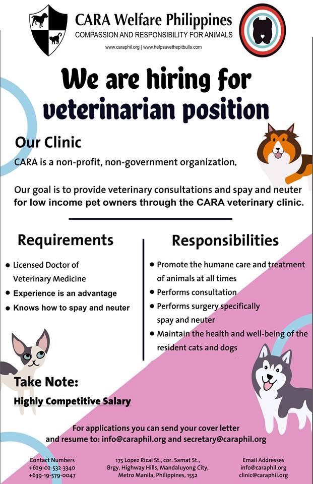 CARA is hiring a vet - job opportunity in animal welfare