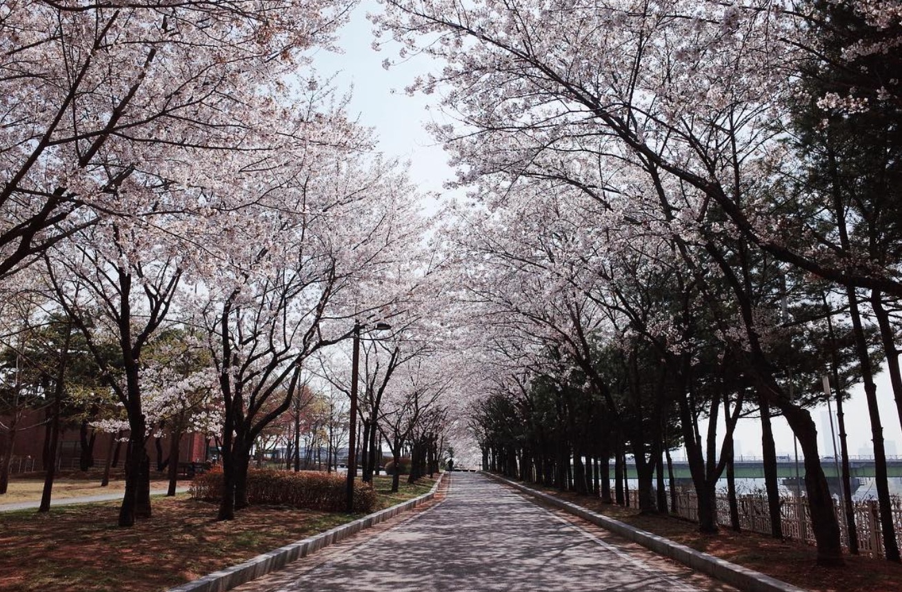 Seonyodu Park Seoul Korea
