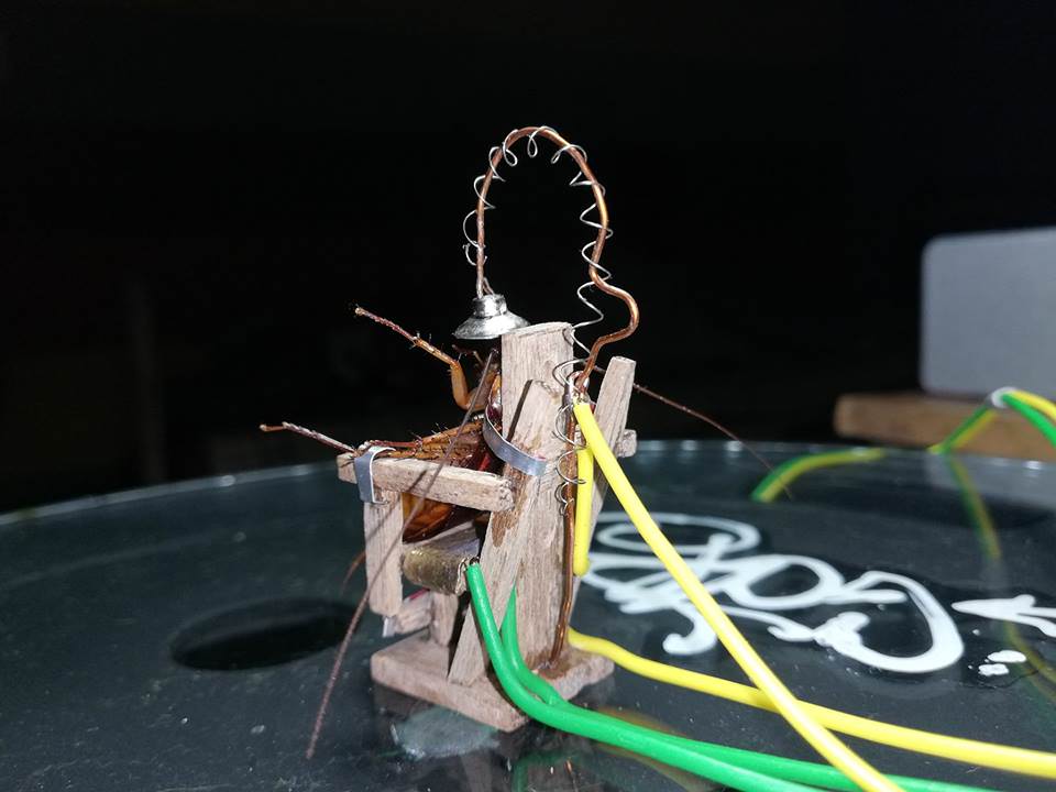 cockroach electric chair 3