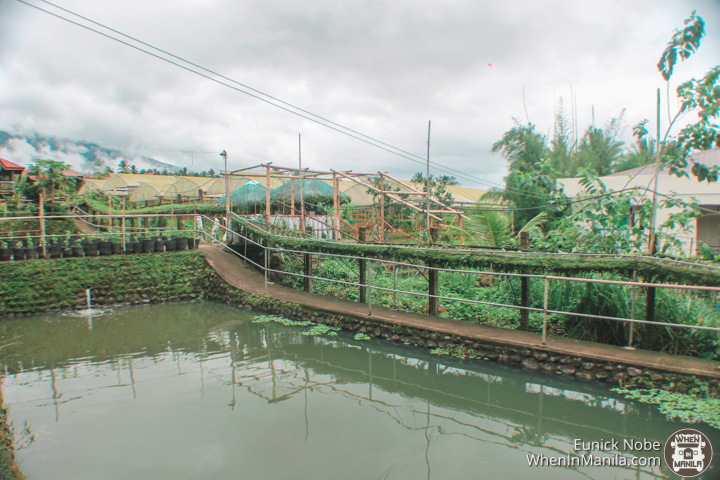 Costales Nature Farm: Escape the City and Experience an Organic Lifestyle 2 Ford Ranger Costales Farm 2