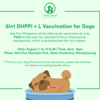 Dog Vaccination Schedule Chart Philippines